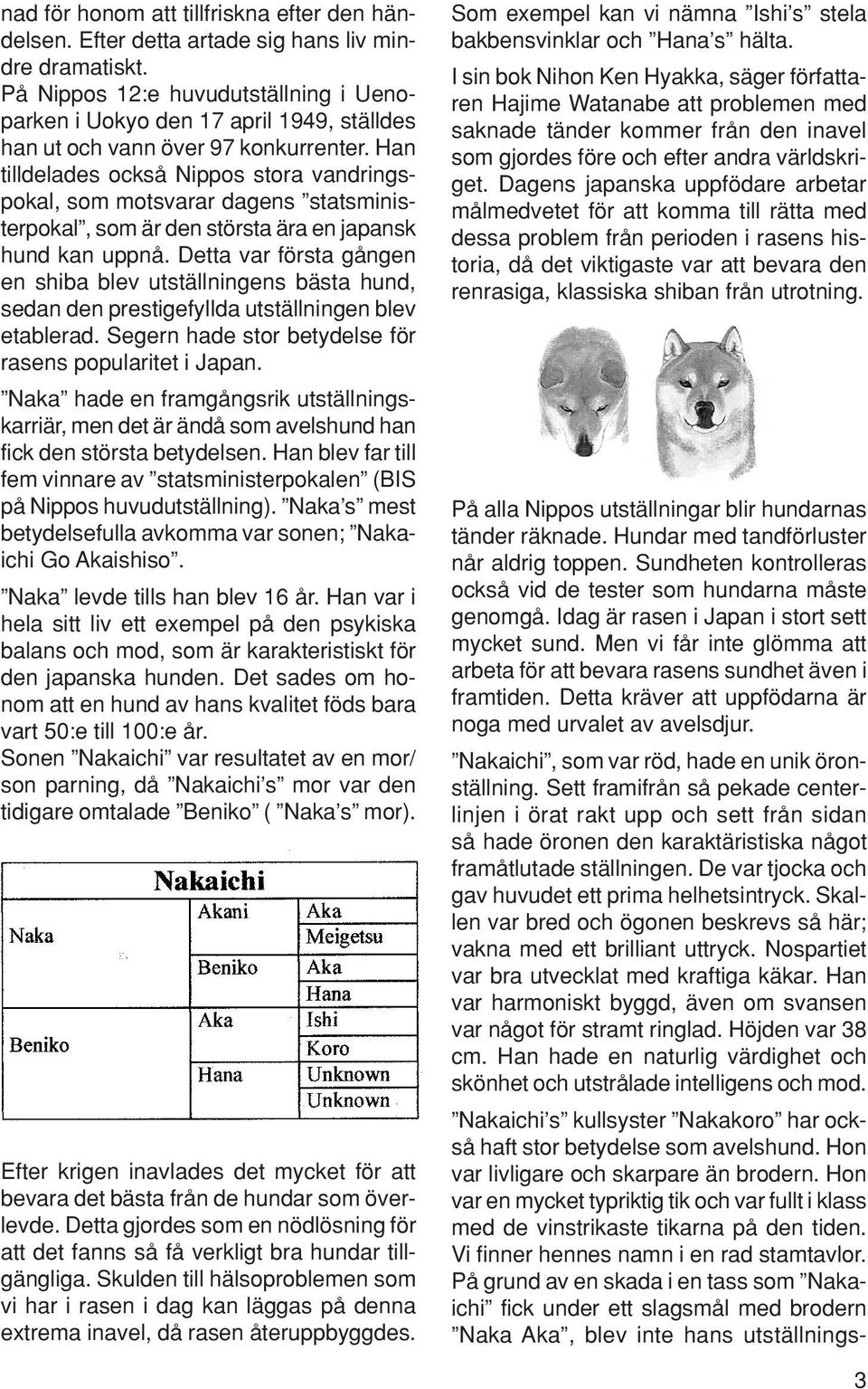 Han tilldelades också Nippos stora vandringspokal, som motsvarar dagens statsministerpokal, som är den största ära en japansk hund kan uppnå.