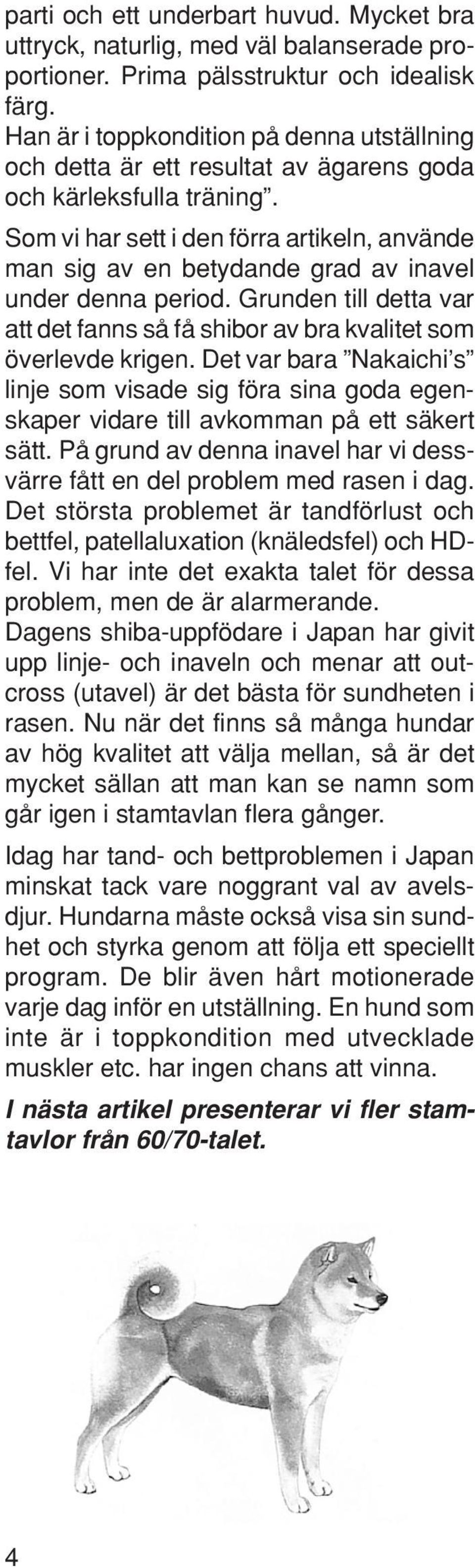 Som vi har sett i den förra artikeln, använde man sig av en betydande grad av inavel under denna period. Grunden till detta var att det fanns så få shibor av bra kvalitet som överlevde krigen.