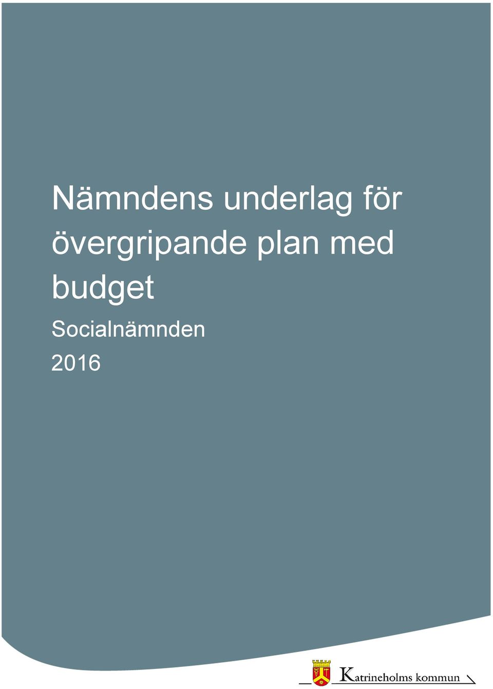 plan med budget