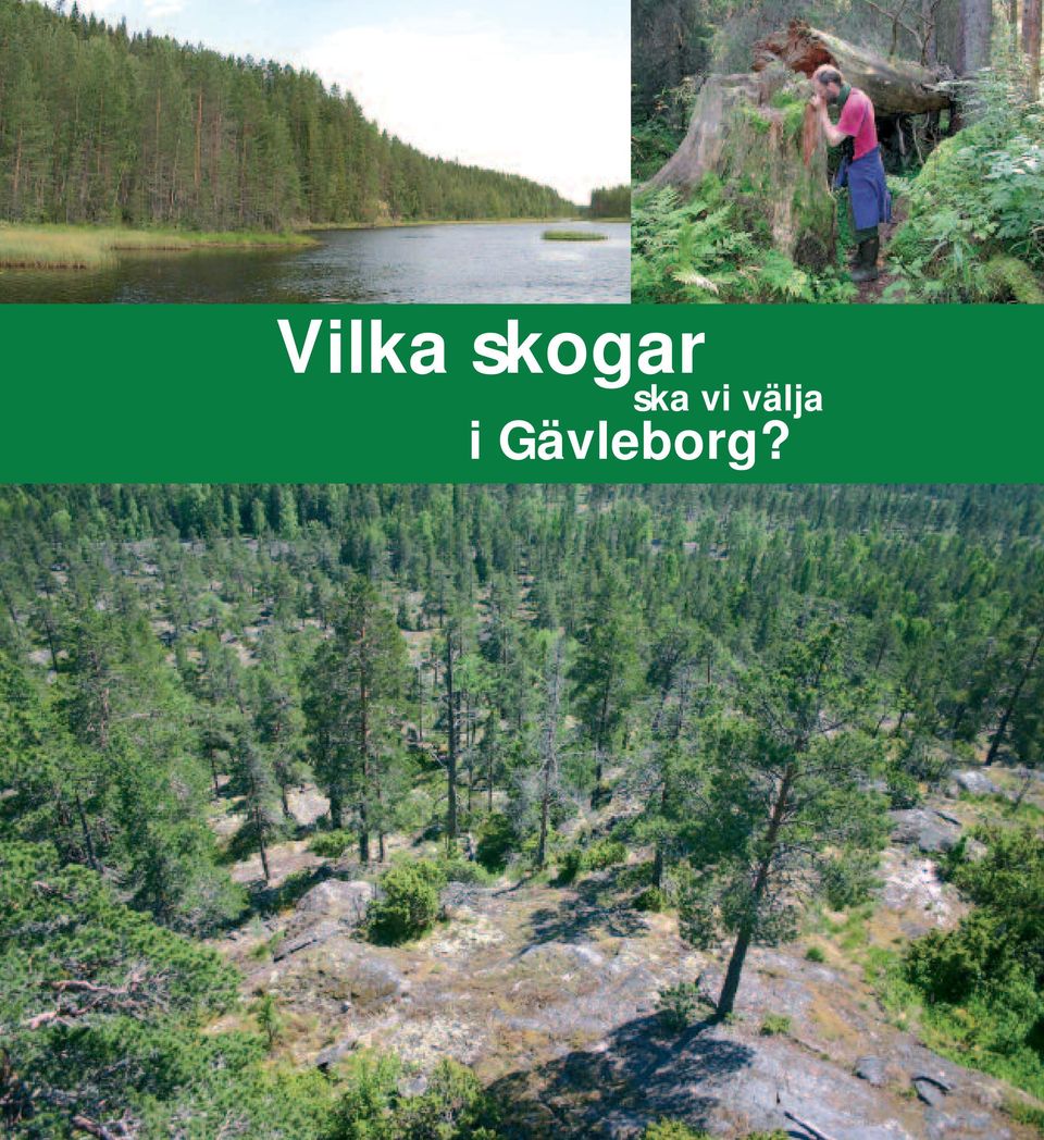 Gävleborgs län Vilka skogar ska vi