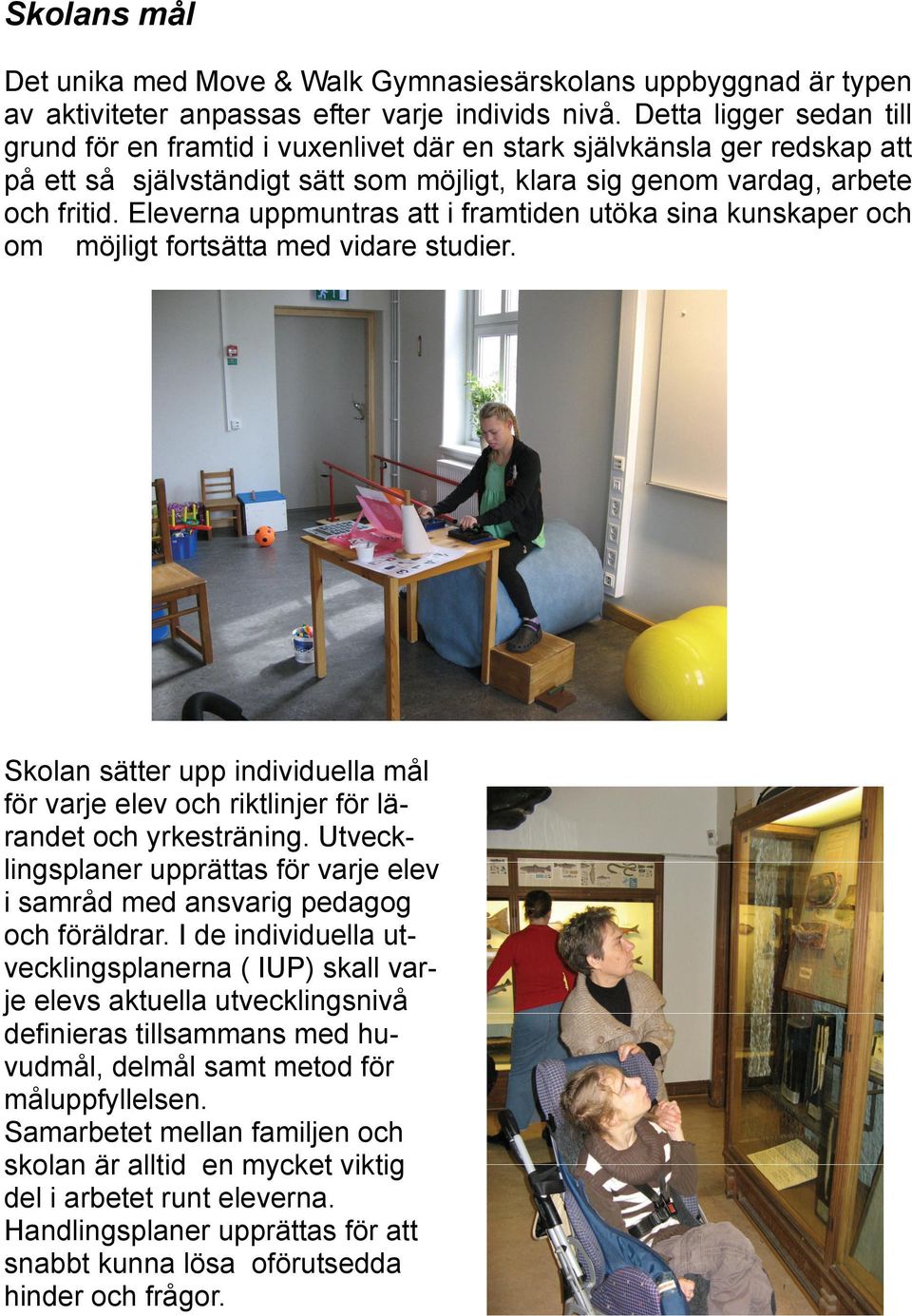 Eleverna uppmuntras att i framtiden utöka sina kunskaper och om möjligt fortsätta med vidare studier. Skolan sätter upp individuella mål för varje elev och riktlinjer för lärandet och yrkesträning.