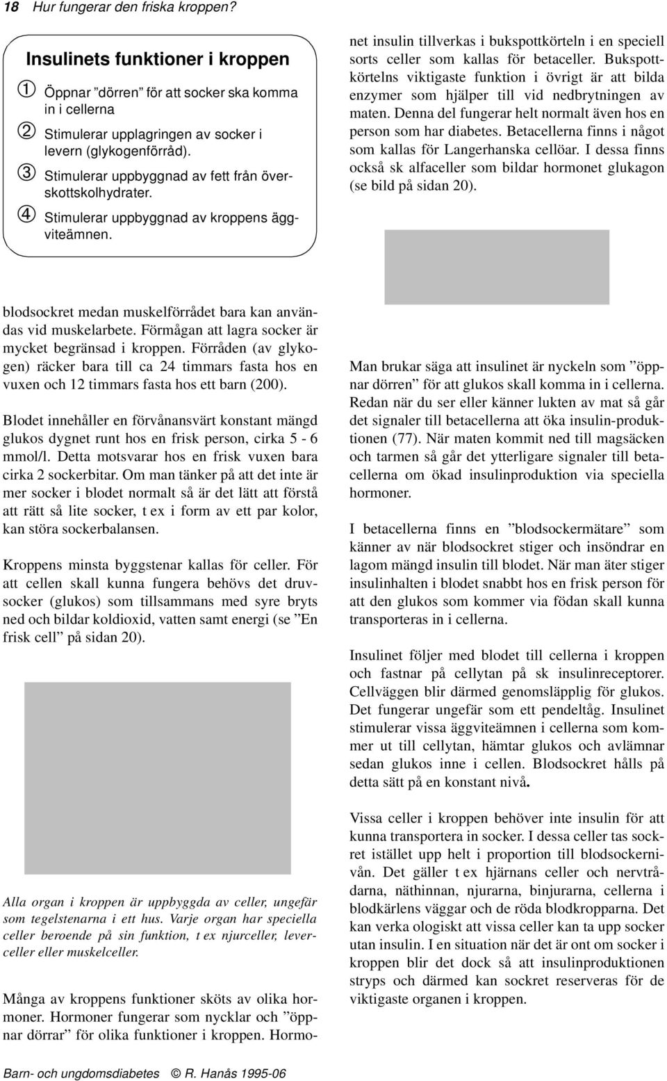 Hormoner fungerar som nycklar och öppnar dörrar för olika funktioner i kroppen. Hormonet insulin tillverkas i bukspottkörteln i en speciell sorts celler som kallas för betaceller.