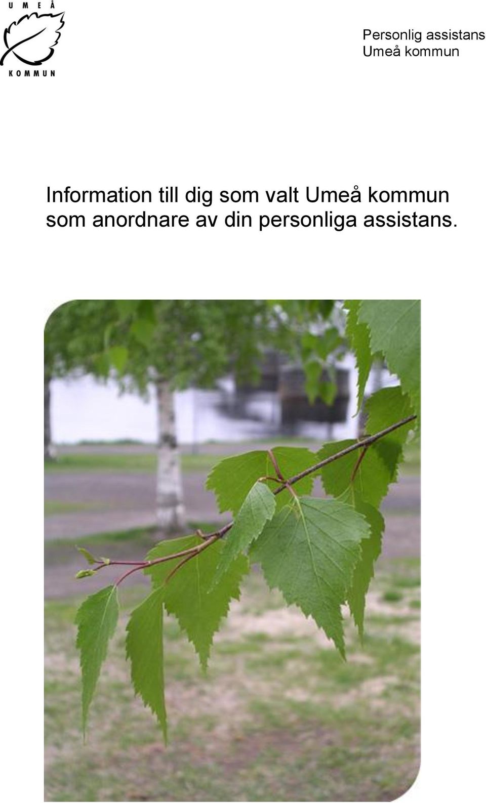 som valt Umeå kommun som