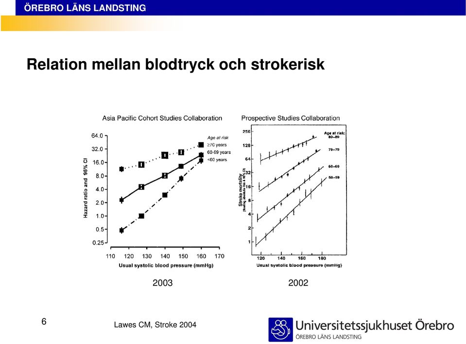 strokerisk 2003