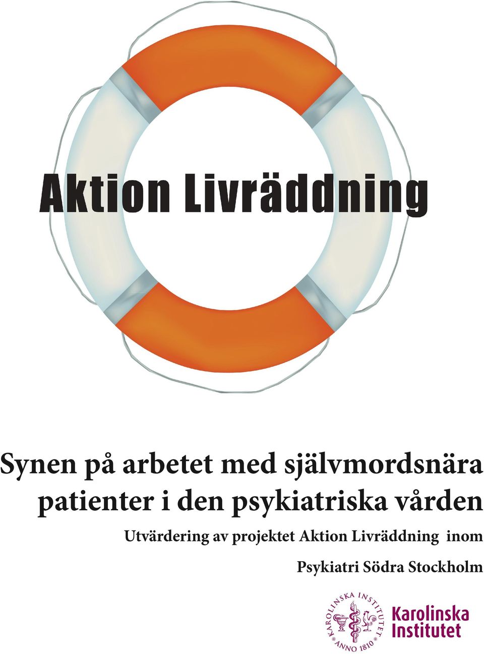 Utvärdering av projektet Aktion