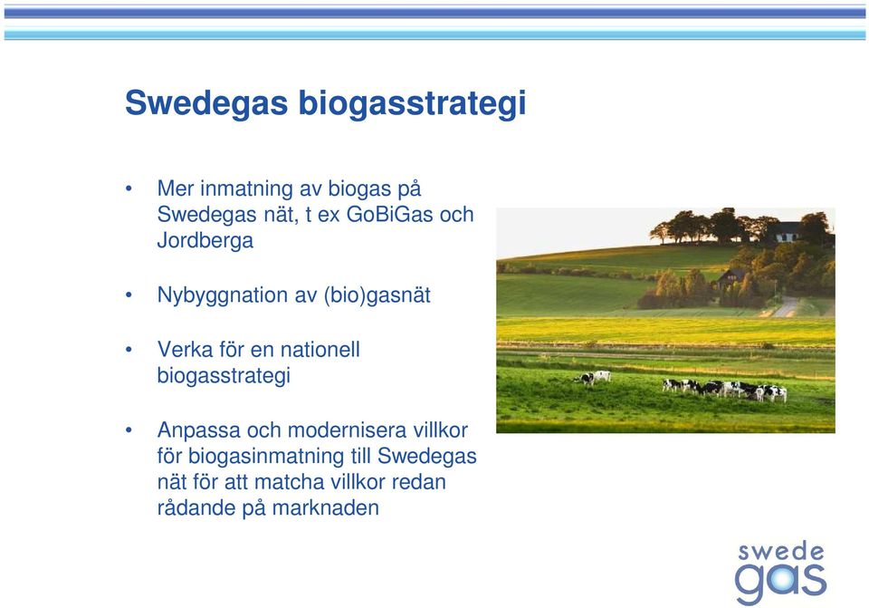 nationell biogasstrategi Anpassa och modernisera villkor för