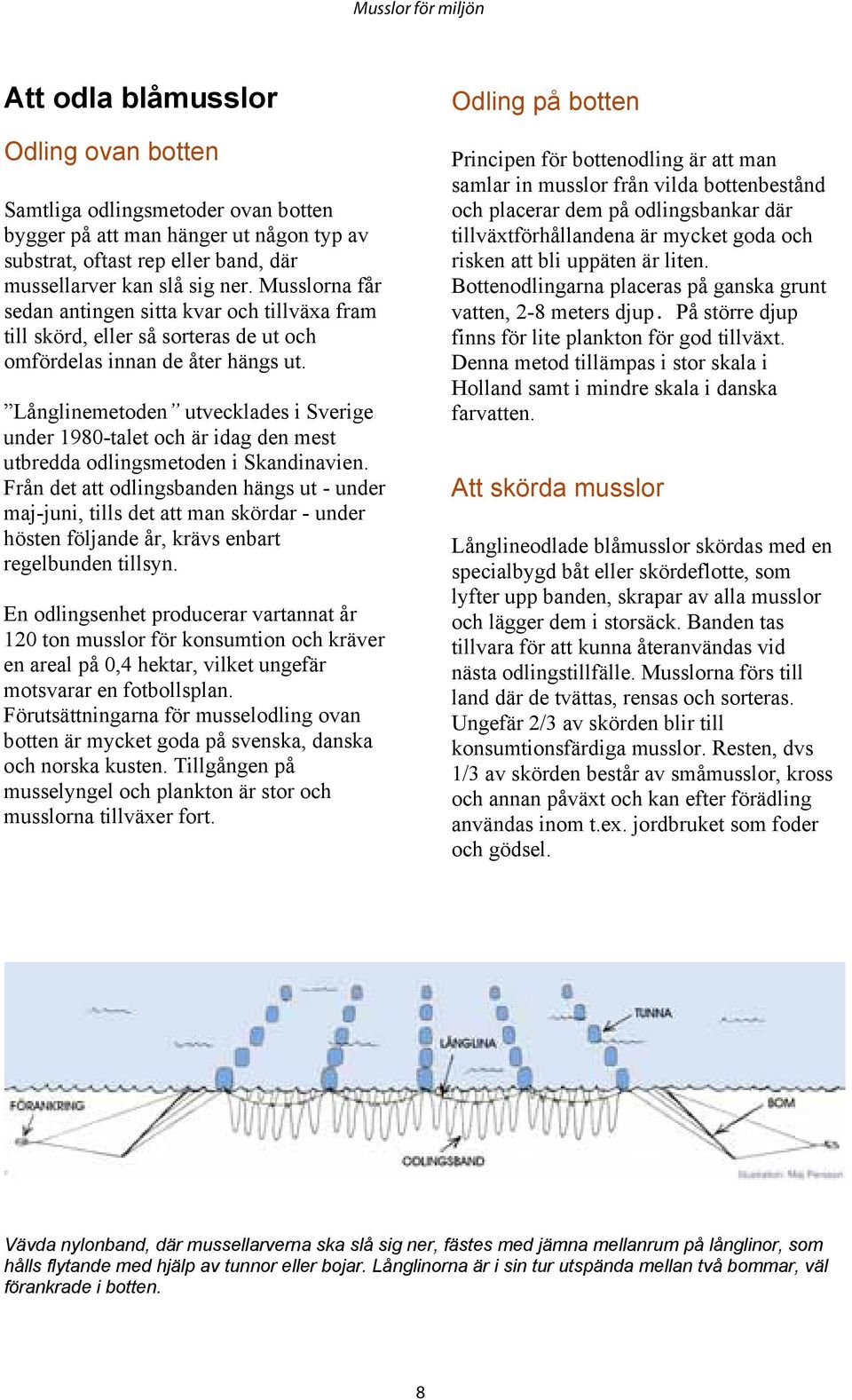 Långlinemetoden utvecklades i Sverige under 1980-talet och är idag den mest utbredda odlingsmetoden i Skandinavien.