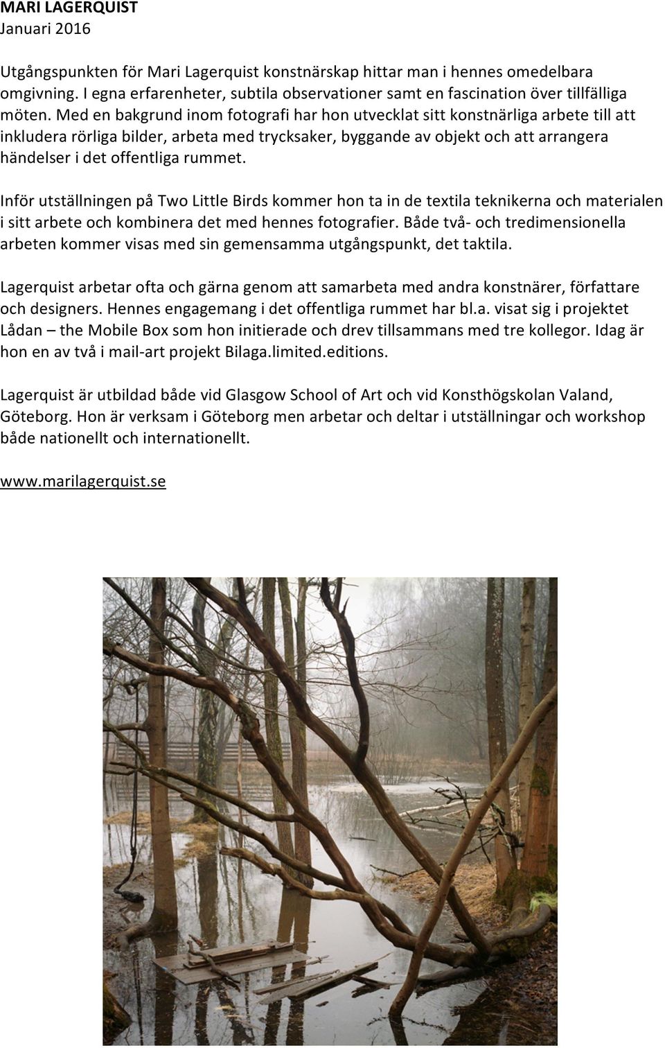 Med en bakgrund inom fotografi har hon utvecklat sitt konstnärliga arbete till att inkludera rörliga bilder, arbeta med trycksaker, byggande av objekt och att arrangera händelser i det offentliga