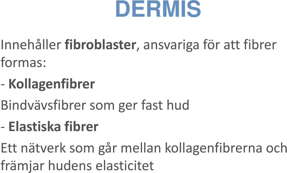 ger fast hud Elastiska fibrer Ett nätverk som går