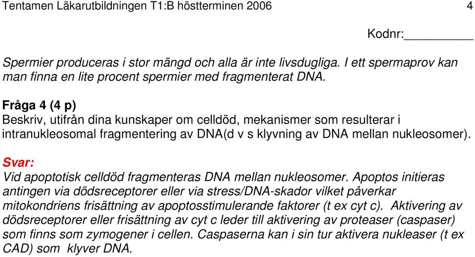 Vid apoptotisk celldöd fragmenteras DNA mellan nukleosomer.