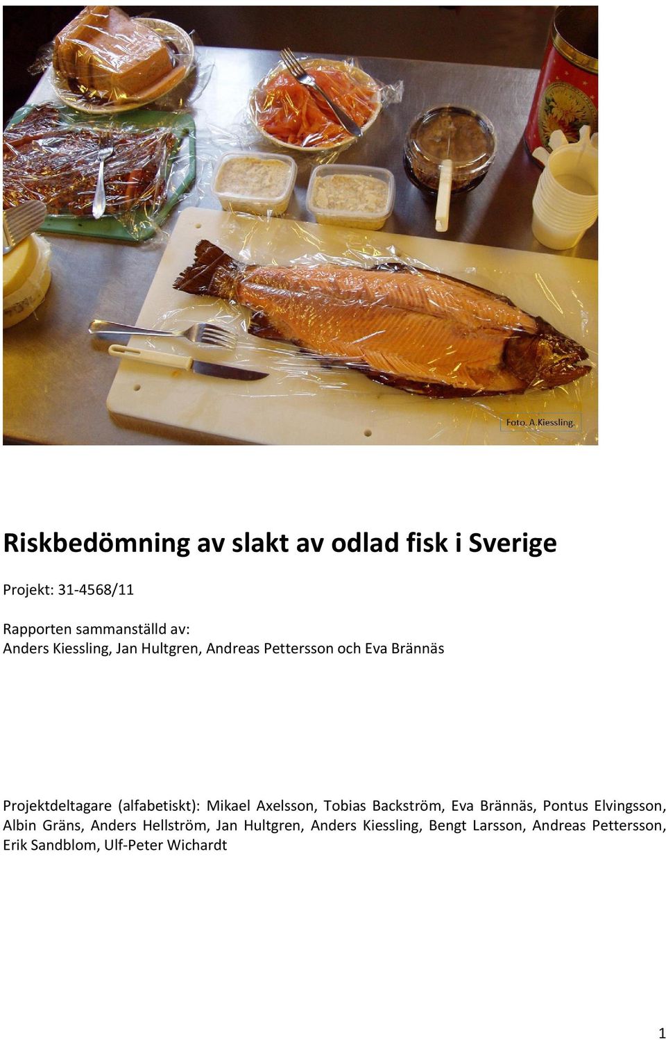 Mikael Axelsson, Tobias Backström, Eva Brännäs, Pontus Elvingsson, Albin Gräns, Anders Hellström,