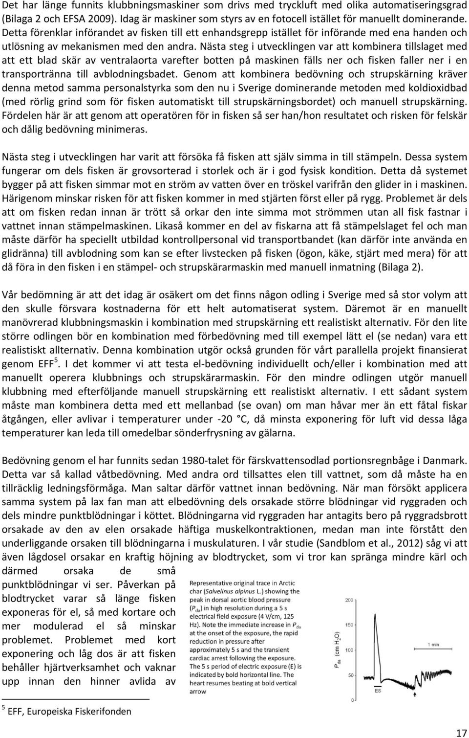 Nästa steg i utvecklingen var att kombinera tillslaget med att ett blad skär av ventralaorta varefter botten på maskinen fälls ner och fisken faller ner i en transportränna till avblodningsbadet.