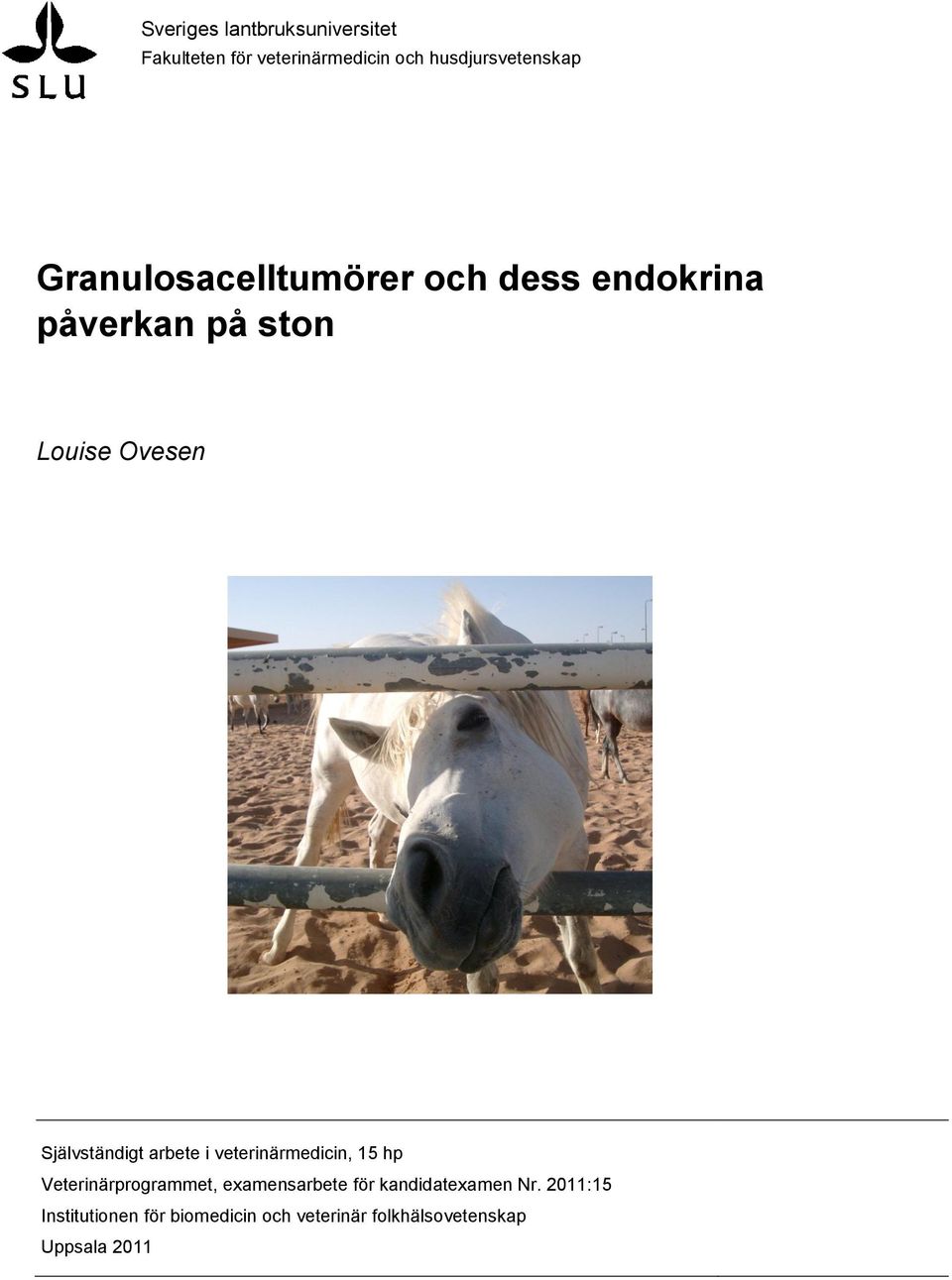 arbete i veterinärmedicin, 15 hp Veterinärprogrammet, examensarbete för