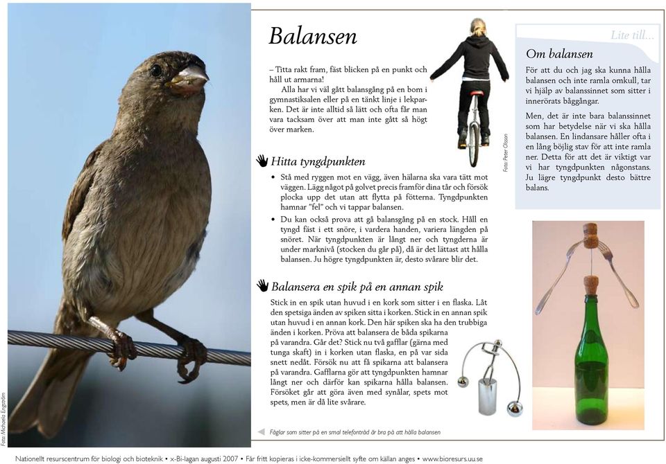 Lägg något på golvet precis framför dina tår och försök plocka upp det utan att flytta på fötterna. Tyngdpunkten hamnar fel och vi tappar balansen. Du kan också prova att gå balansgång på en stock.