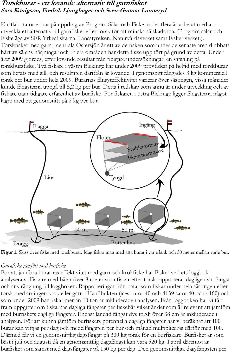 Torskfisket med garn i centrala Östersjön är ett av de fisken som under de senaste åren drabbats hårt av sälens härjningar och i flera områden har detta fiske upphört på grund av detta.