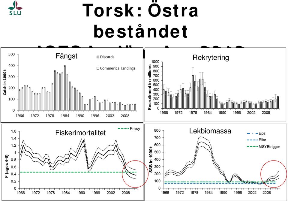 Fångst Rekrytering