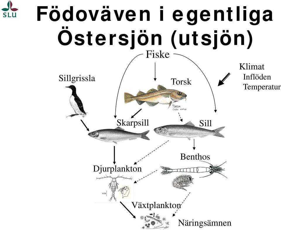 Klimat Inflöden Temperatur Skarpsill