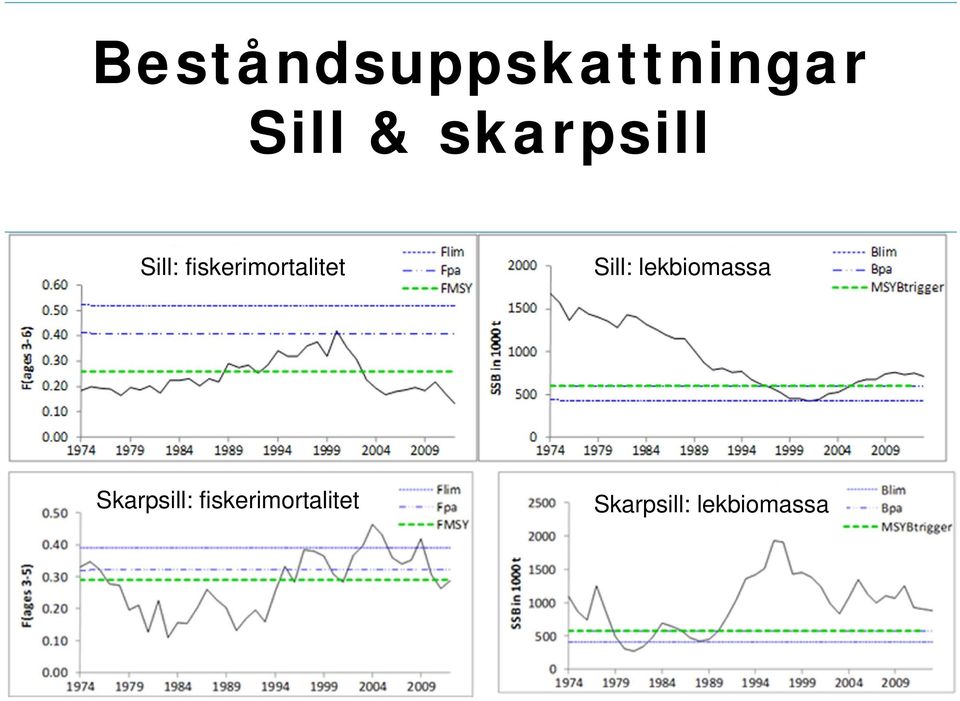 Sill: lekbiomassa Skarpsill: