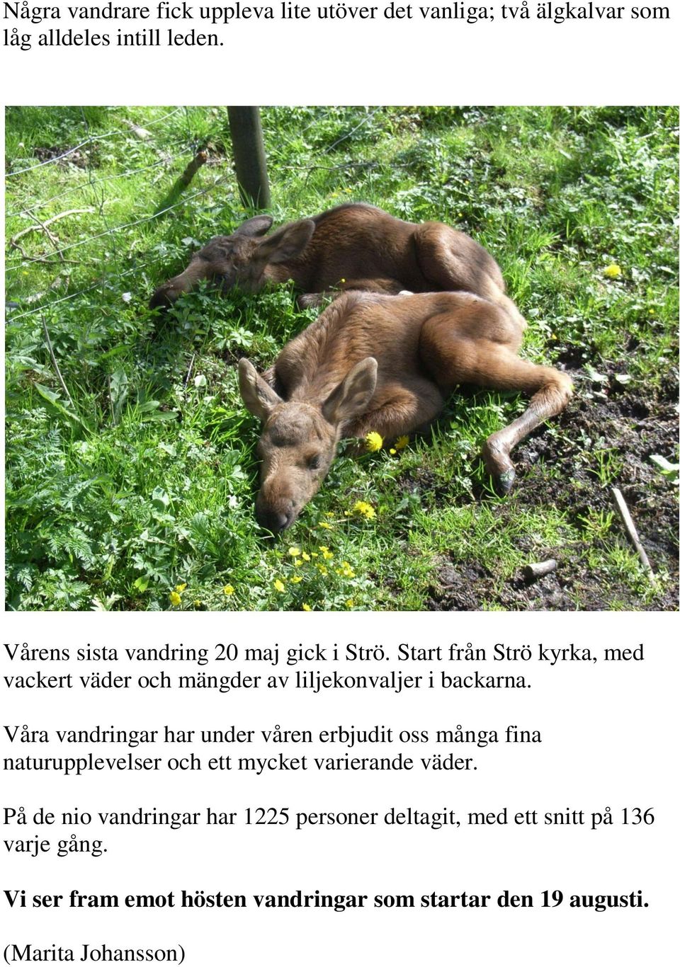 Start från Strö kyrka, med vackert väder och mängder av liljekonvaljer i backarna.