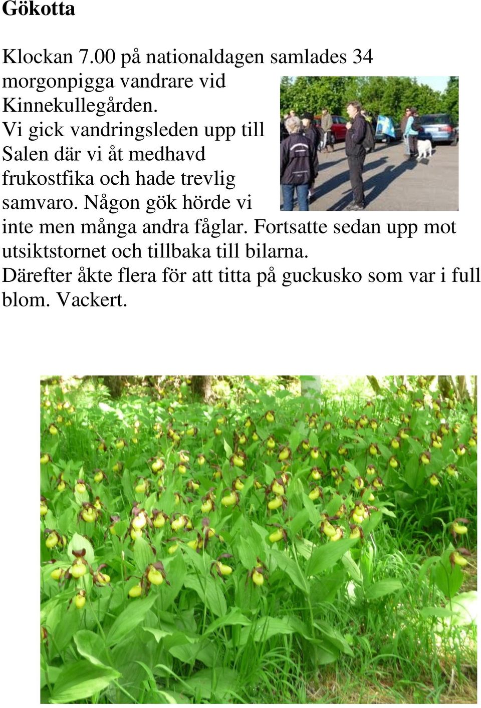 Någon gök hörde vi inte men många andra fåglar.