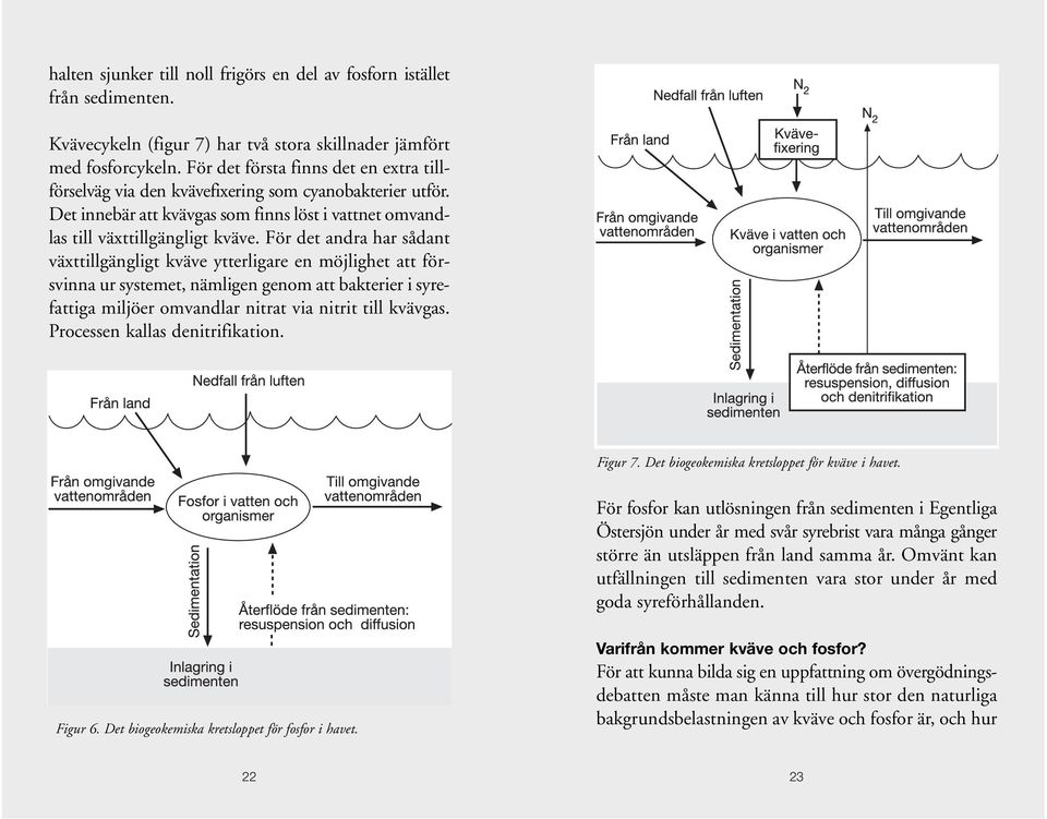 För det andra har sådant växttillgängligt kväve ytterligare en möjlighet att försvinna ur systemet, nämligen genom att bakterier i syrefattiga miljöer omvandlar nitrat via nitrit till kvävgas.