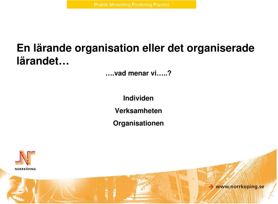 organiserade lärandet.vad menar vi.