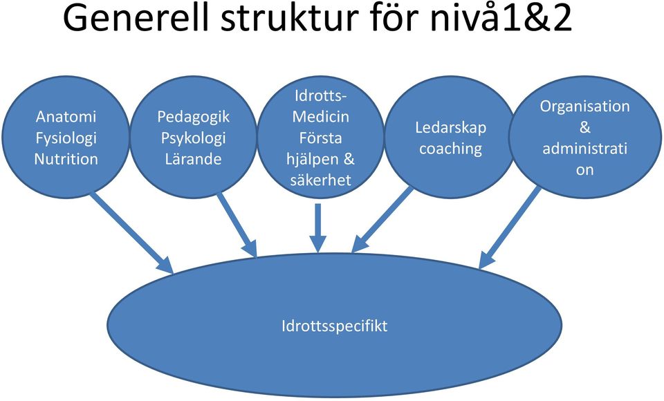 Medicin Första hjälpen & säkerhet Ledarskap