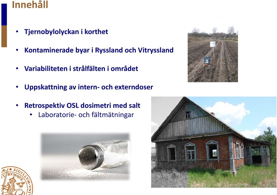 området Uppskattning av intern och externdoser