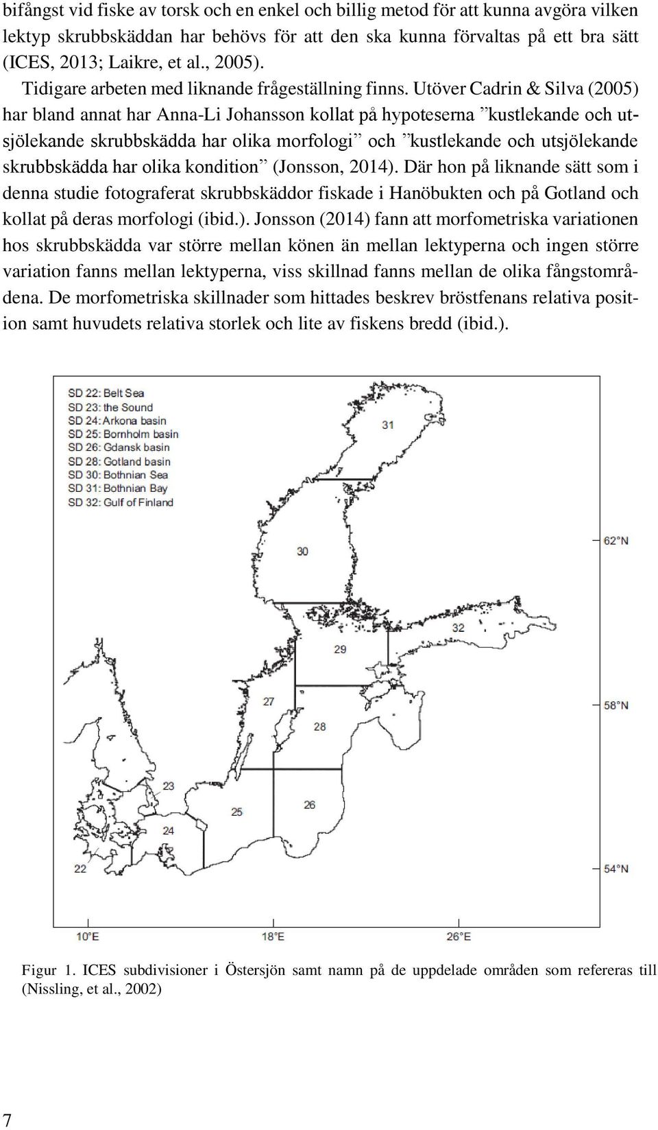 Utöver Cadrin & Silva (2005) har bland annat har Anna-Li Johansson kollat på hypoteserna kustlekande och utsjölekande skrubbskädda har olika morfologi och kustlekande och utsjölekande skrubbskädda