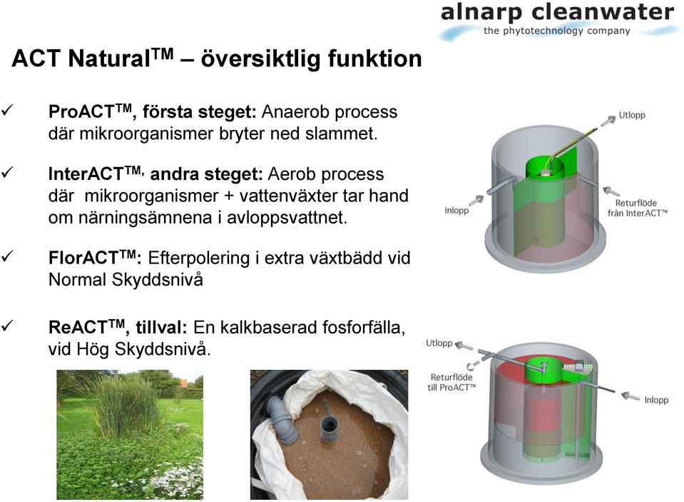 InterACT TM, andra steget: Aerob process där mikroorganismer + vattenväxter tar hand om