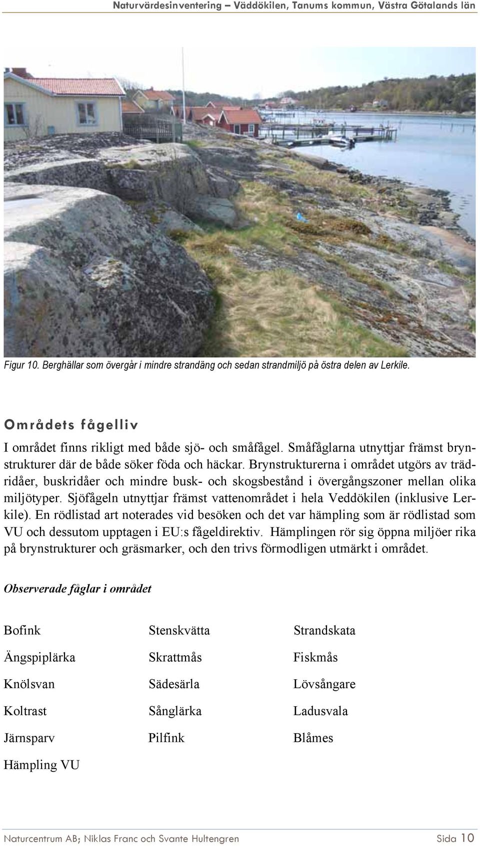 Brynstrukturerna i området utgörs av trädridåer, buskridåer och mindre busk- och skogsbestånd i övergångszoner mellan olika miljötyper.