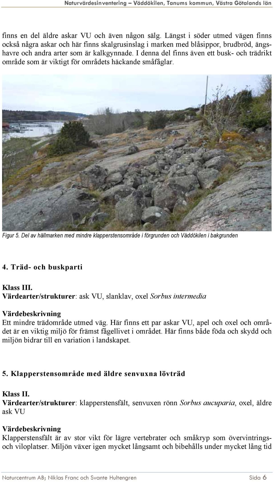 I denna del finns även ett busk- och trädrikt område som är viktigt för områdets häckande småfåglar. Figur 5.