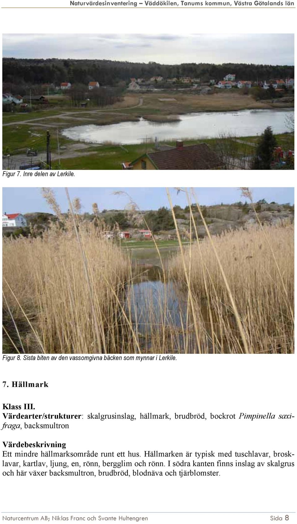 Hällmark Värdearter/strukturer: skalgrusinslag, hällmark, brudbröd, bockrot Pimpinella saxifraga, backsmultron Ett mindre
