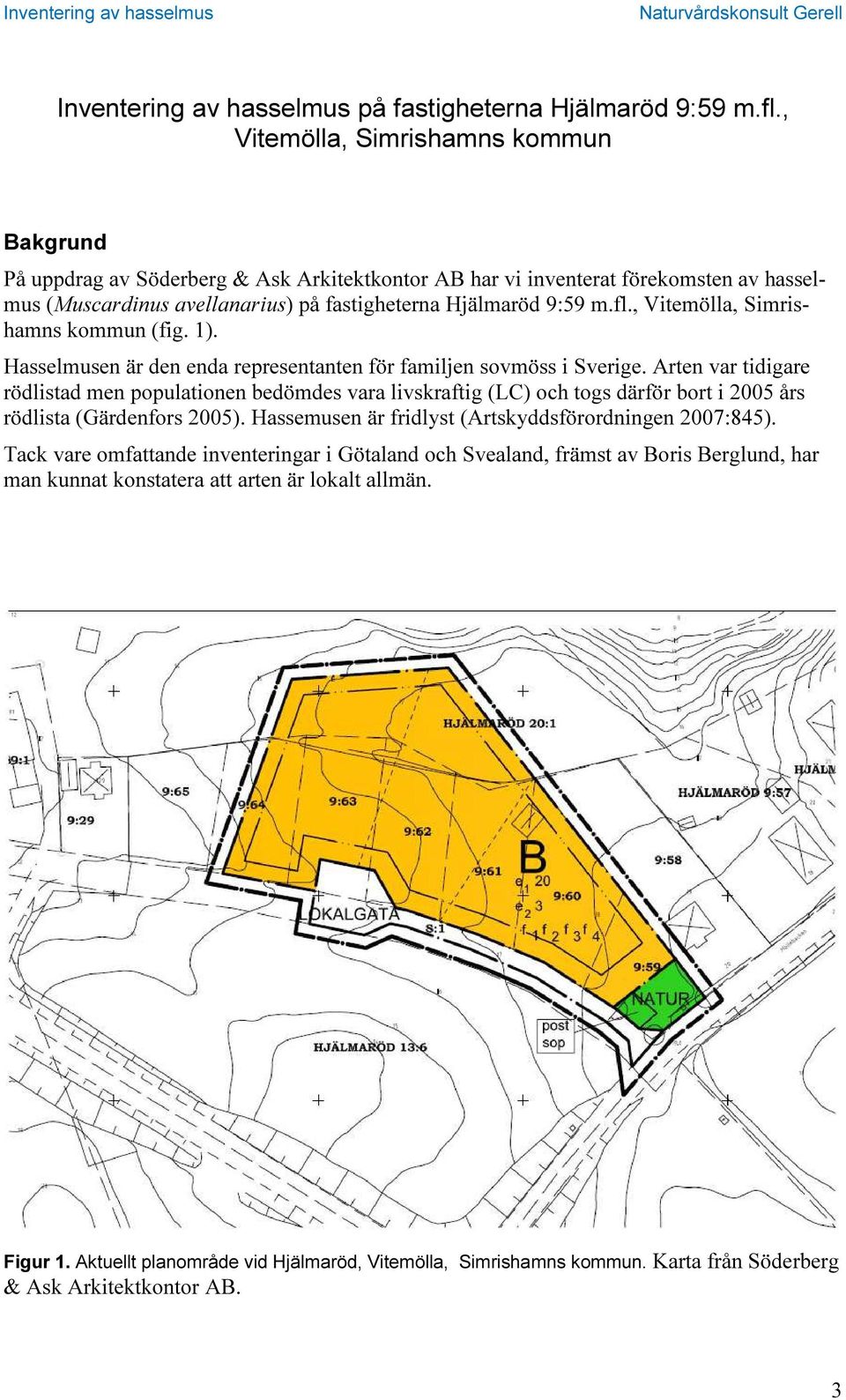 , Vitemölla, Simrishamns kommun (fig. 1). Hasselmusen är den enda representanten för familjen sovmöss i Sverige.