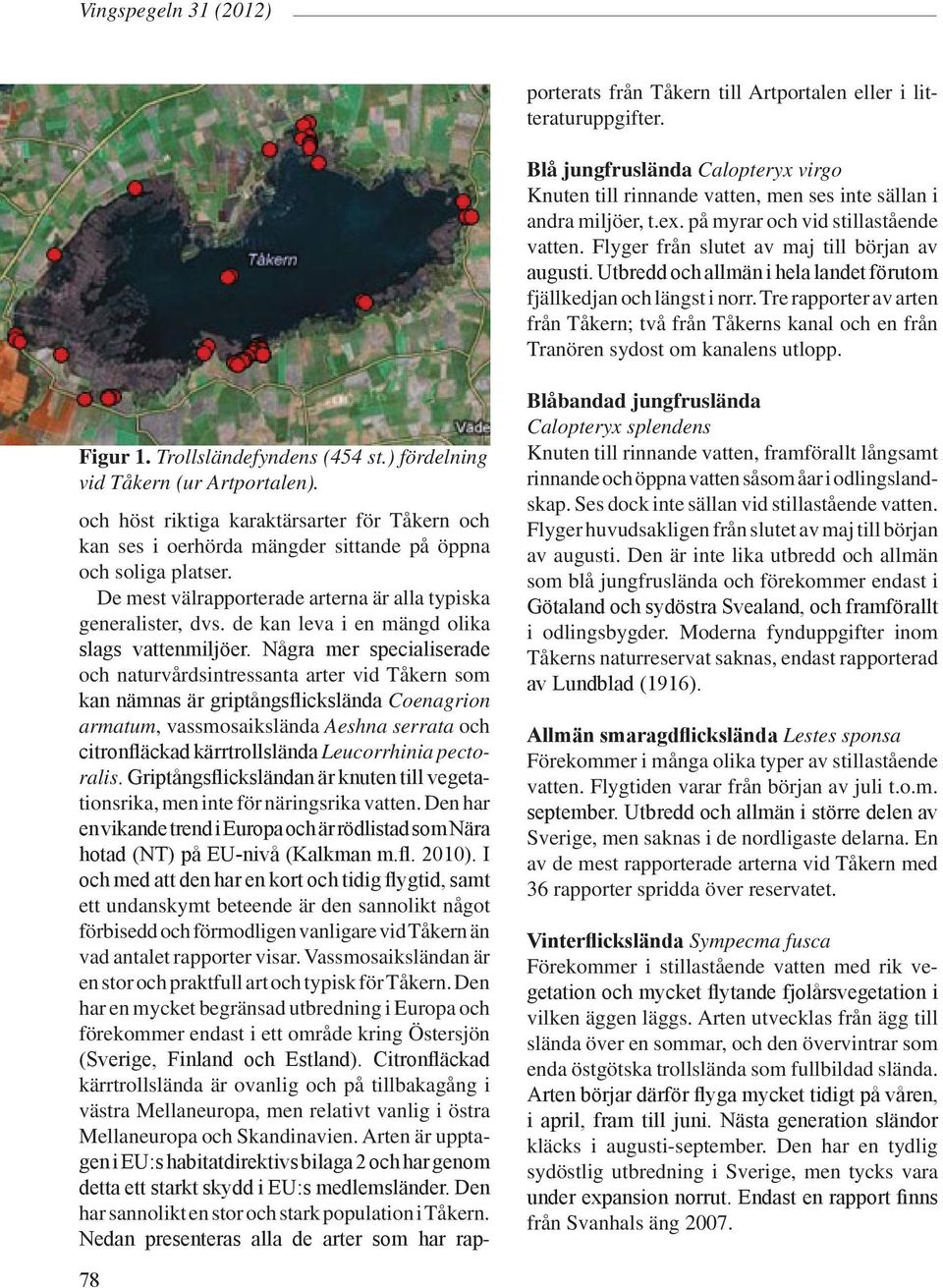 Några mer specialiserade och naturvårdsintressanta arter vid Tåkern som kan nämnas är griptångsflickslända Coenagrion armatum, vassmosaikslända Aeshna serrata och citronfläckad kärrtrollslända