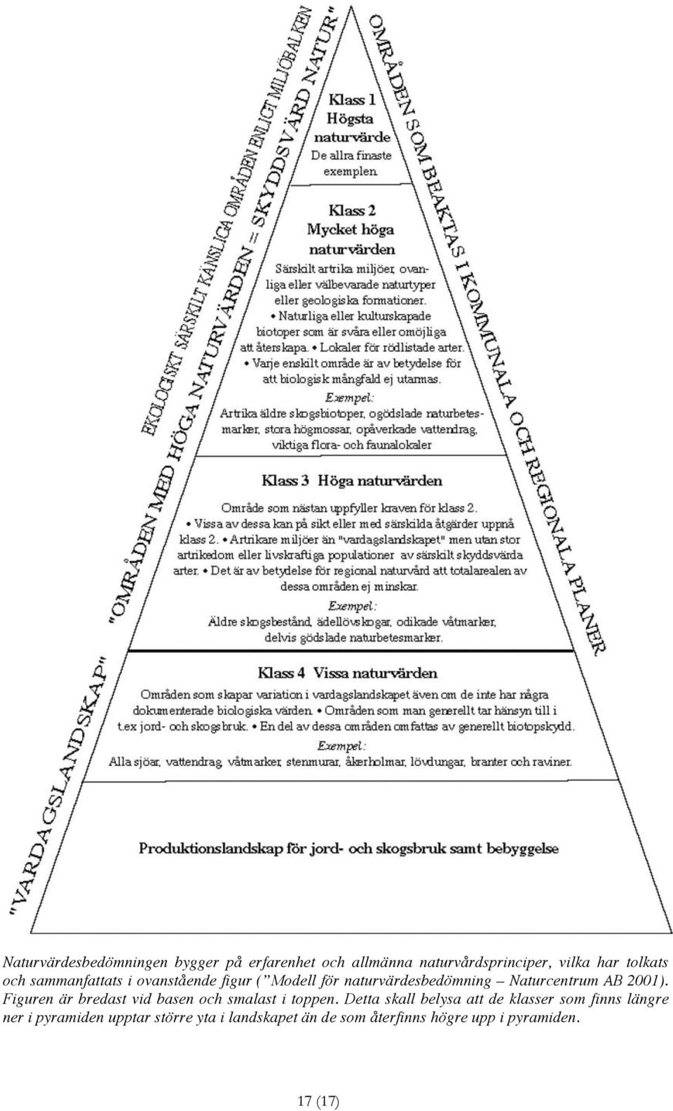 Figuren är bredast vid basen och smalast i toppen.