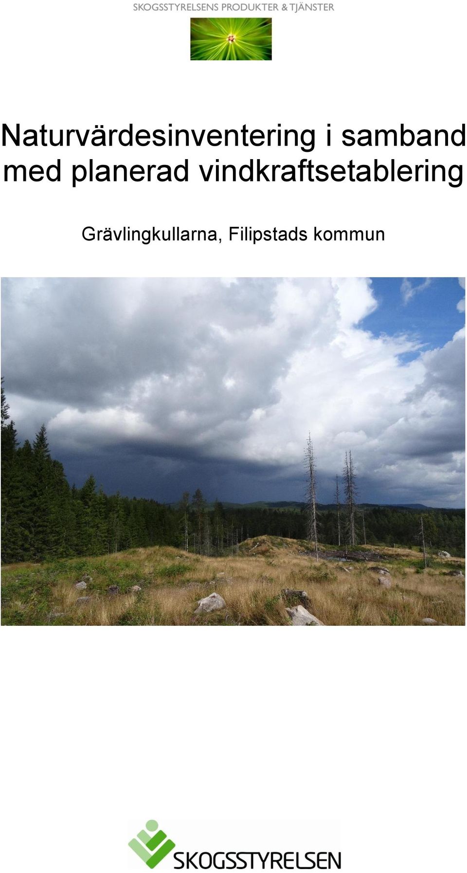 vindkraftsetablering