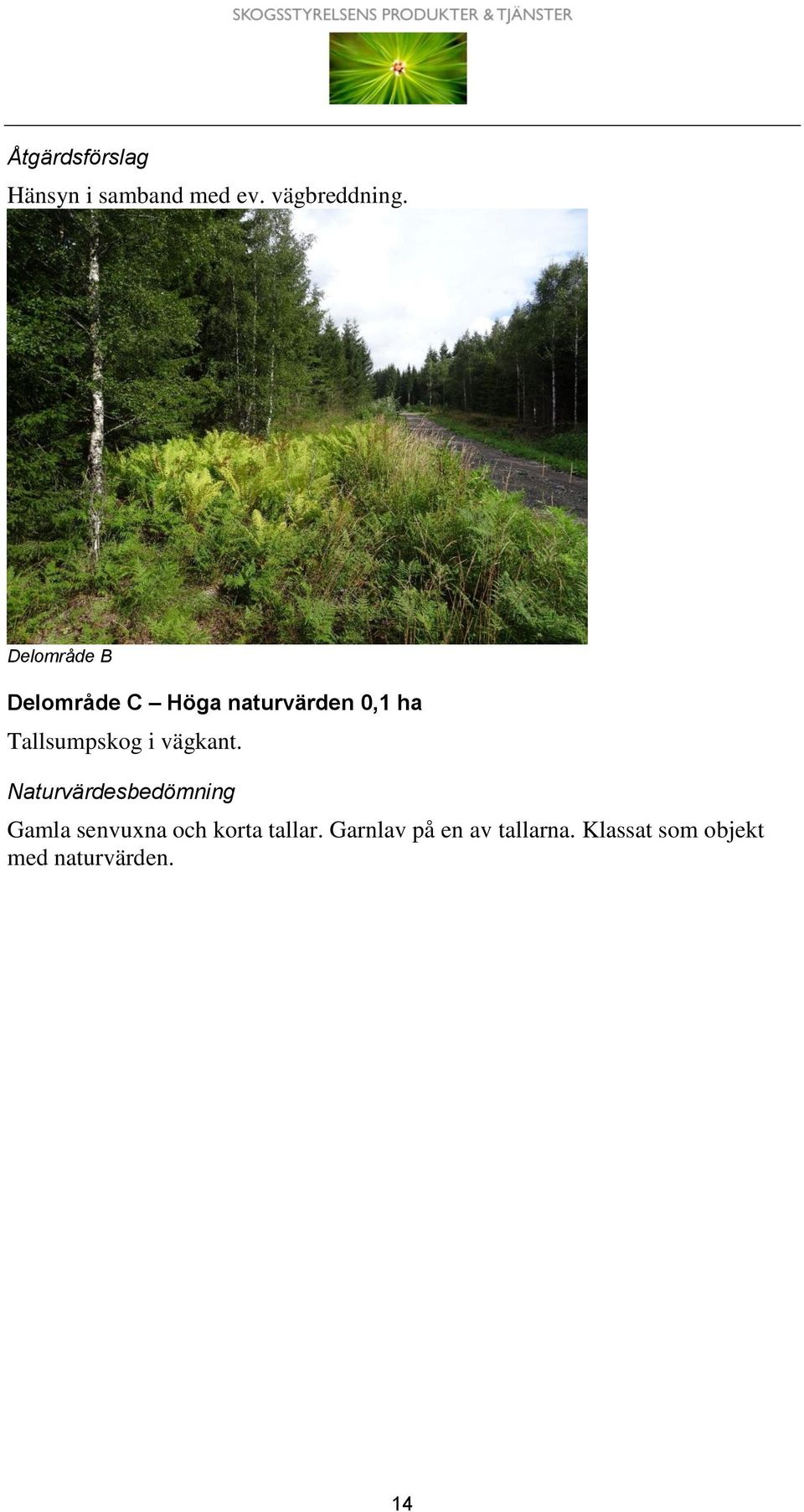 vägkant.