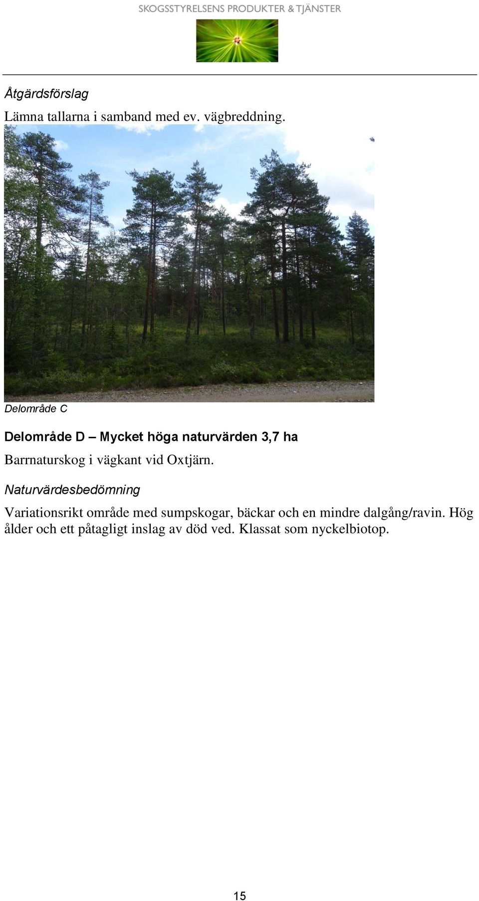 Oxtjärn.