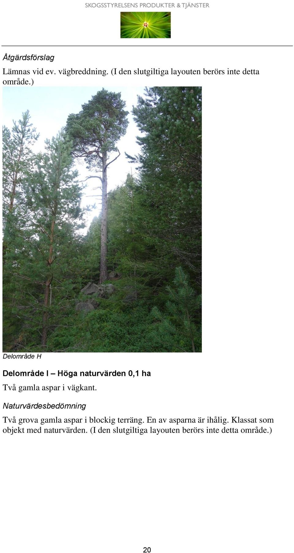 ) Delområde H Delområde I Höga 0,1 ha Två gamla aspar i vägkant.