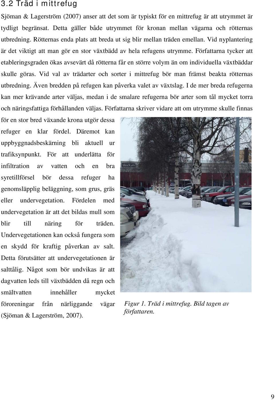 Vid nyplantering är det viktigt att man gör en stor växtbädd av hela refugens utrymme.