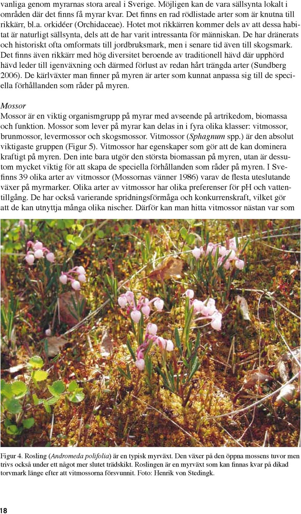 De har dränerats och historiskt ofta omformats till jordbruksmark, men i senare tid även till skogsmark.