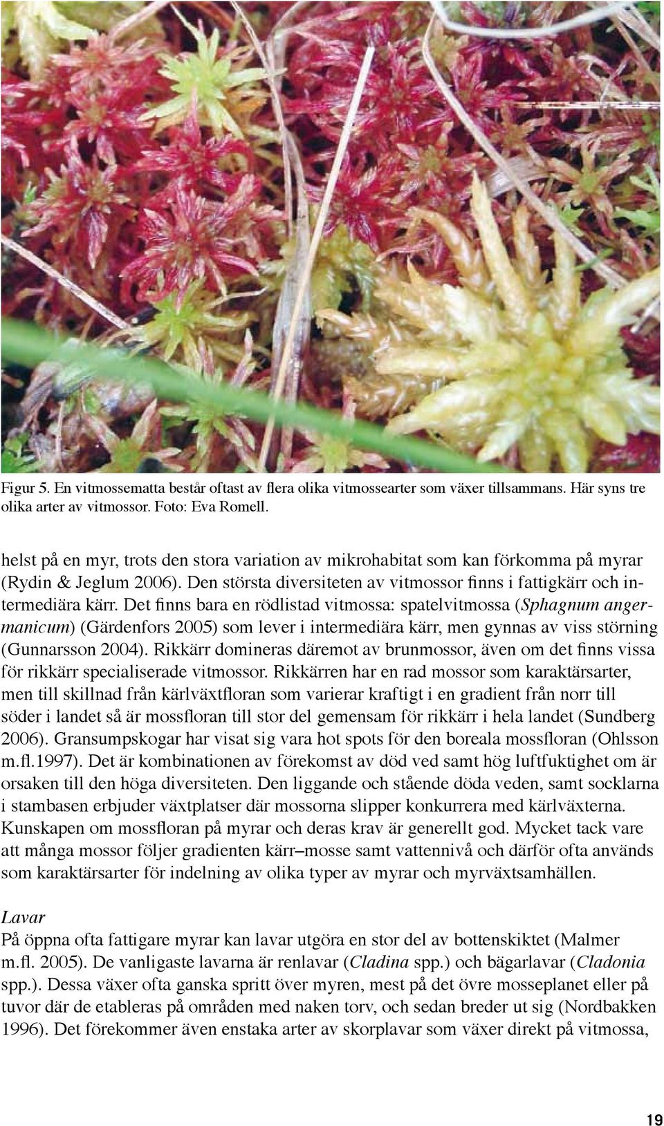 Det finns bara en rödlistad vitmossa: spatelvitmossa (Sphagnum angermanicum) (Gärdenfors 2005) som lever i intermediära kärr, men gynnas av viss störning (Gunnarsson 2004).