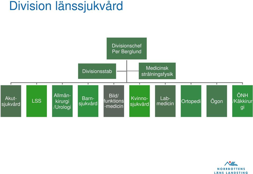 Akutsjukvård Allmänkirurgi /Urologi Bild/ funktions