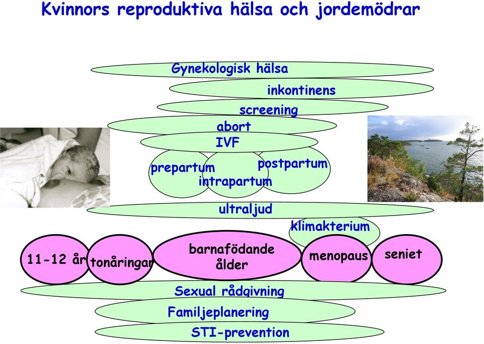 intrapartum ultraljud klimakterium 11-12 år tonåringar