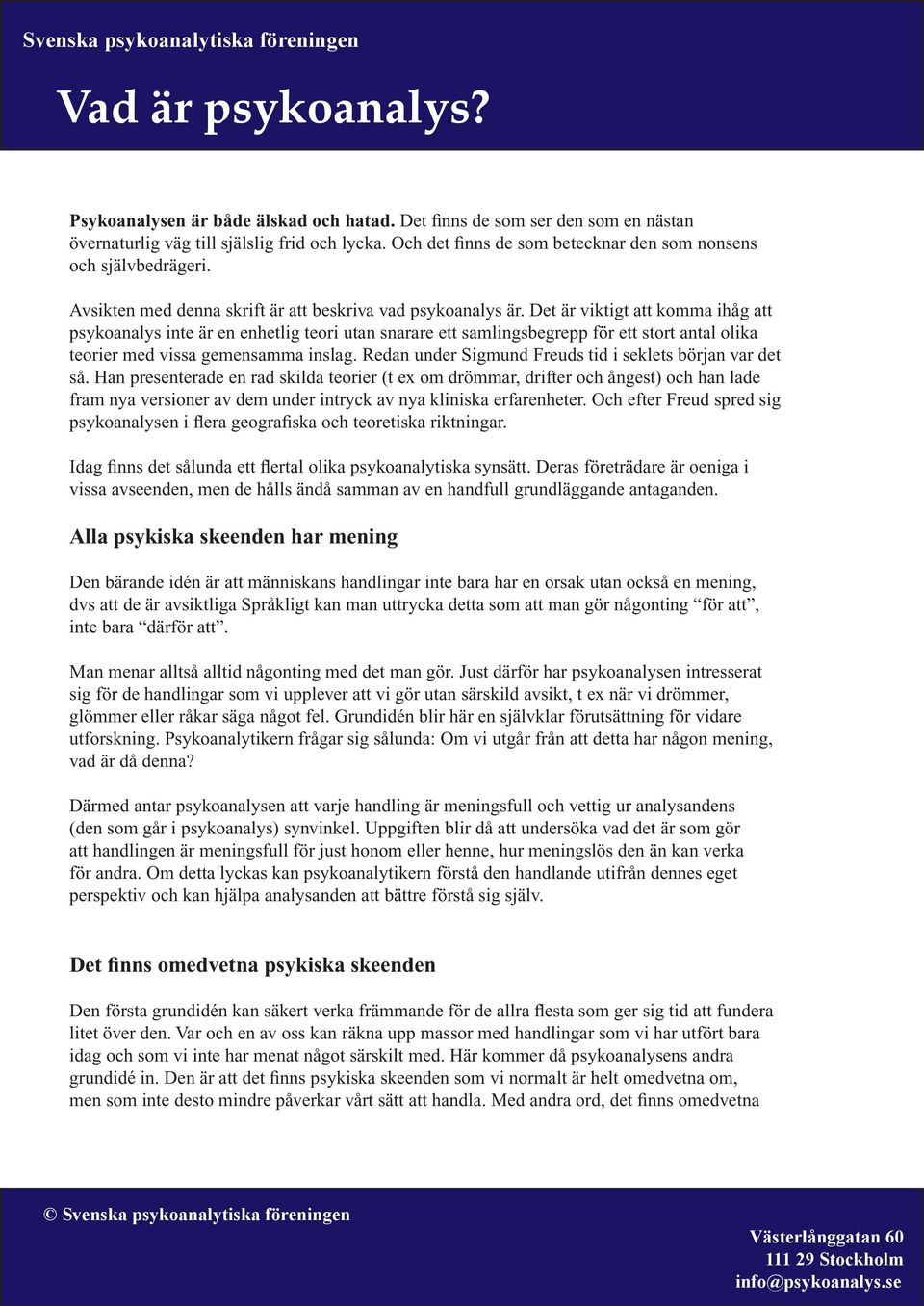 Det är viktigt att komma ihåg att psykoanalys inte är en enhetlig teori utan snarare ett samlingsbegrepp för ett stort antal olika teorier med vissa gemensamma inslag.