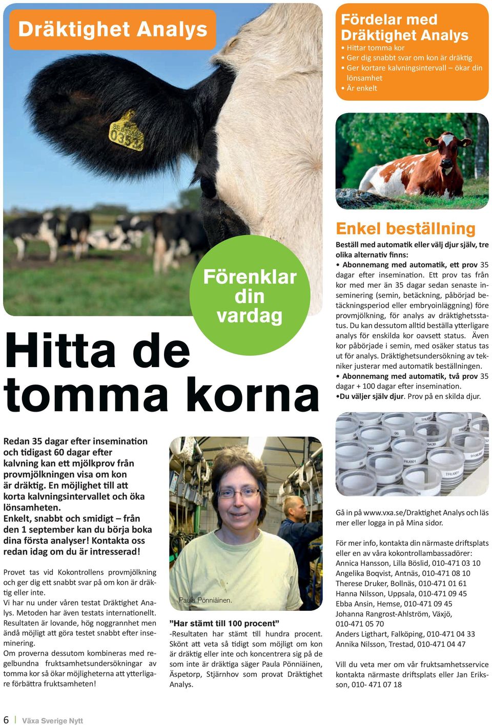 Ett prov tas från kor med mer än 35 dagar sedan senaste inseminering (semin, betäckning, påbörjad betäckningsperiod eller embryoinläggning) före provmjölkning, för analys av dräktighetsstatus.