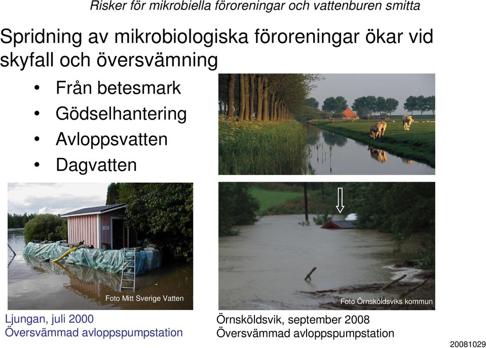 Gödselhantering Avloppsvatten Dagvatten Foto Mitt Sverige Vatten Ljungan, juli 2000