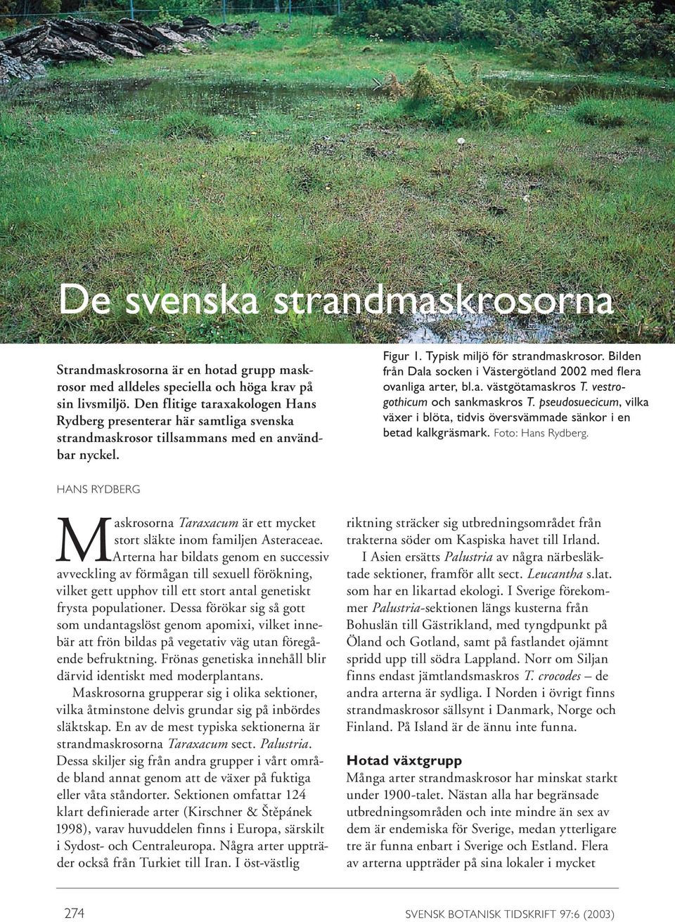 Bilden från Dala socken i Västergötland 2002 med flera ovanliga arter, bl.a. västgötamaskros T. vestrogothicum och sankmaskros T.