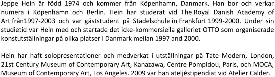 Under sin studietid var Hein med och startade det icke-kommersiella galleriet OTTO som organiserade konstutställningar på olika platser i Danmark mellan 1997 and 2000.